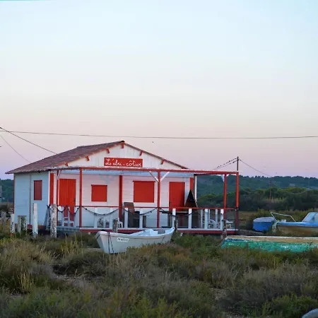Les Logis Du Languedoc By Interhome 公寓 *